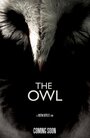 Фильм «The Owl» скачать бесплатно в хорошем качестве без регистрации и смс 1080p