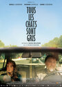 Фильм «Tous les chats sont gris» смотреть онлайн фильм в хорошем качестве 720p