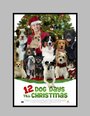 Фильм «12 Dog Days of Christmas» смотреть онлайн фильм в хорошем качестве 1080p