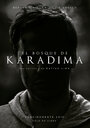 Фильм «El Bosque de Karadima» смотреть онлайн фильм в хорошем качестве 1080p