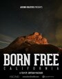 «Born Free: California» кадры фильма в хорошем качестве