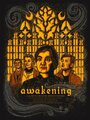 Фильм «Awakening» скачать бесплатно в хорошем качестве без регистрации и смс 1080p