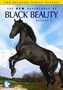 Фильм «The New Adventures of Black Beauty» смотреть онлайн фильм в хорошем качестве 720p