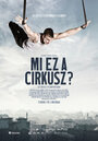 Фильм «Mi ez a cirkusz?» смотреть онлайн фильм в хорошем качестве 720p