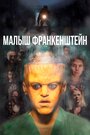 Фильм «Малыш Франкенштейн» скачать бесплатно в хорошем качестве без регистрации и смс 1080p