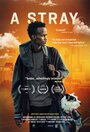 «A Stray» кадры фильма в хорошем качестве