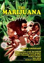 «The Marijuana Affair» кадры фильма в хорошем качестве