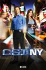 «CSI: Место преступления Нью-Йорк» кадры сериала в хорошем качестве